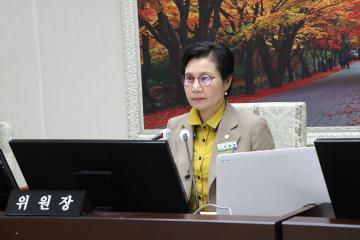 제284회 자치행정위원회  회의진행