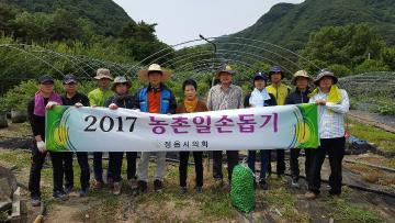 경제건설위원회 매실농가 일손돕기