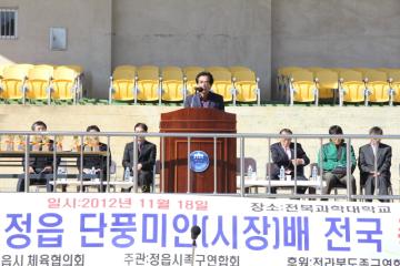 제15회 단풍미인배 전국 족구대회